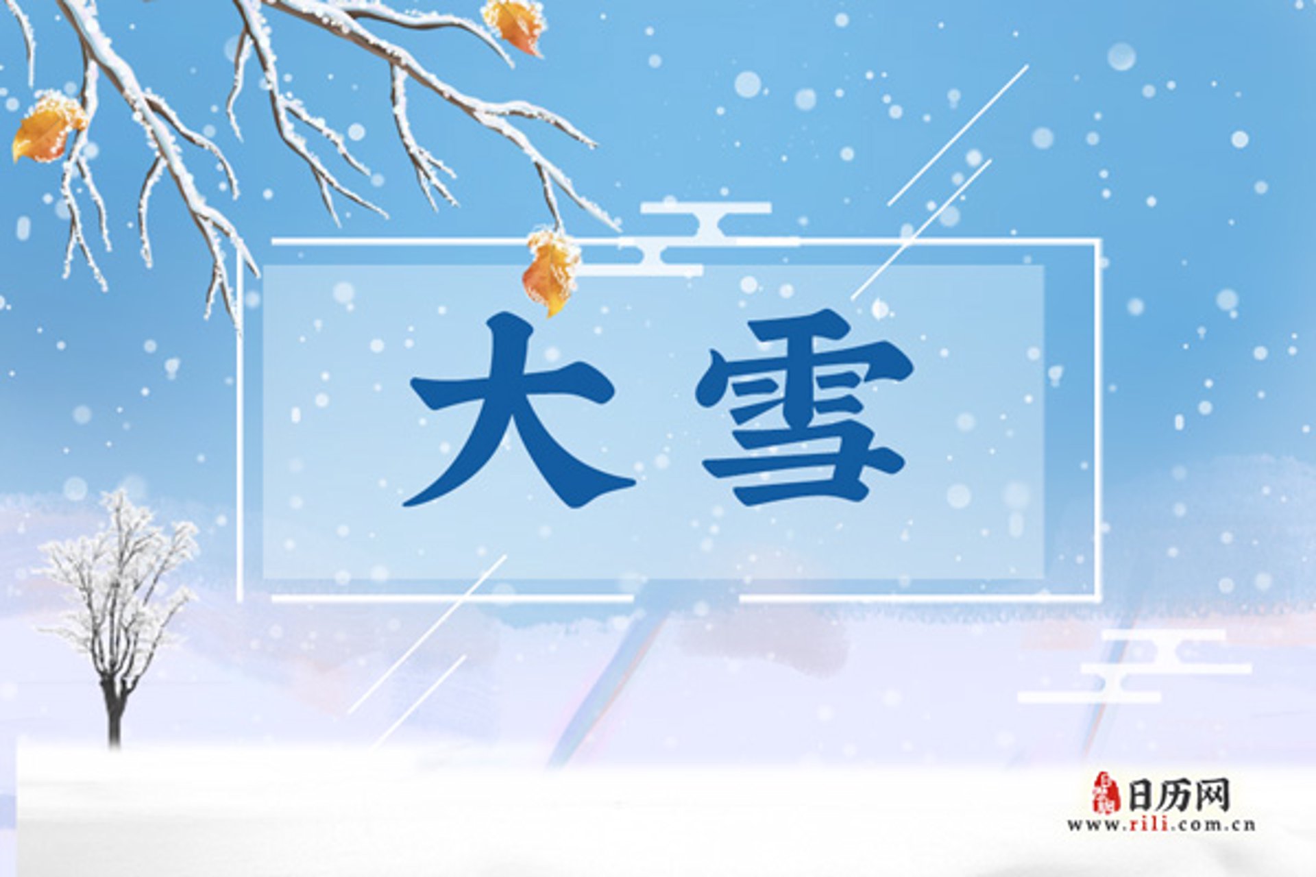 寒天雪信息技术